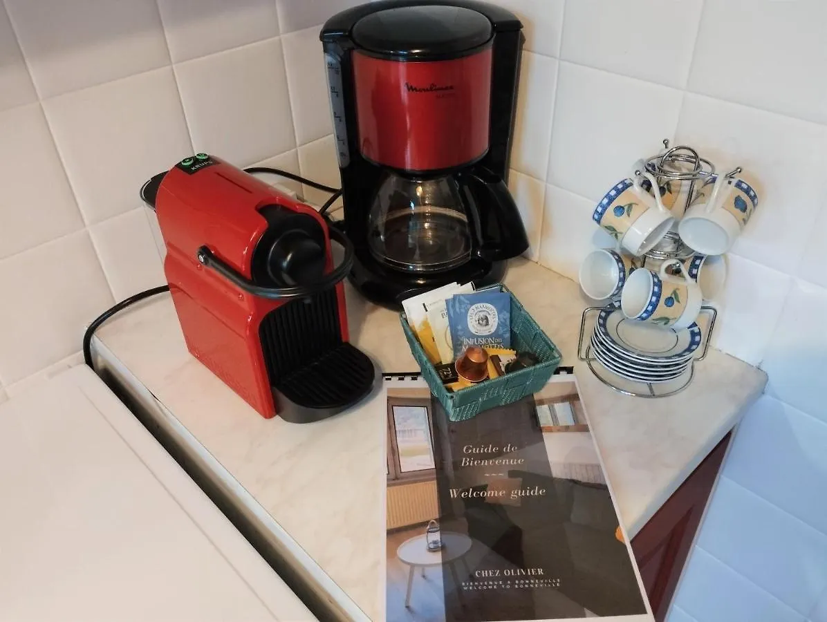 Le Manet - Appartement Proche Centre Ville - Parking Gratuit Bonneville Francja